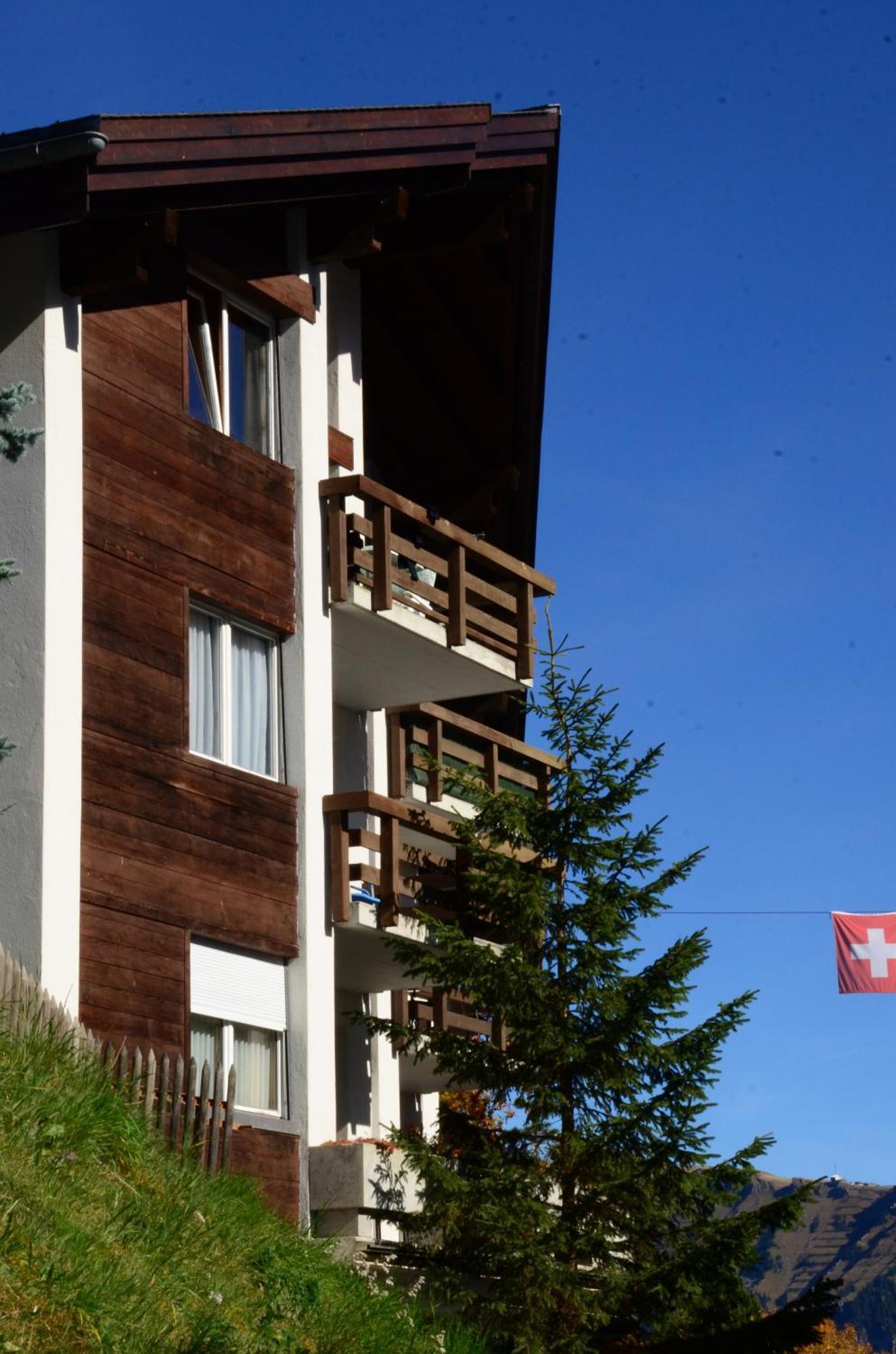 Charming And Cosy Apartment Mürren Eksteriør bilde